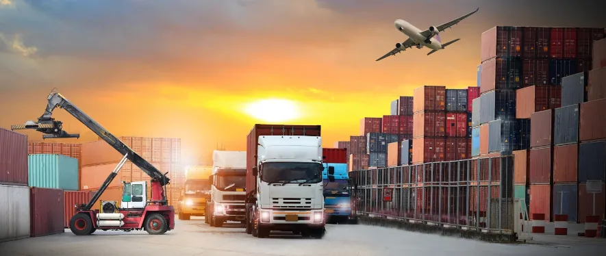 operador logistico
